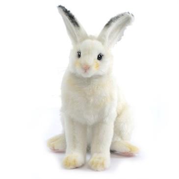 General for store1 Small White Rabbit